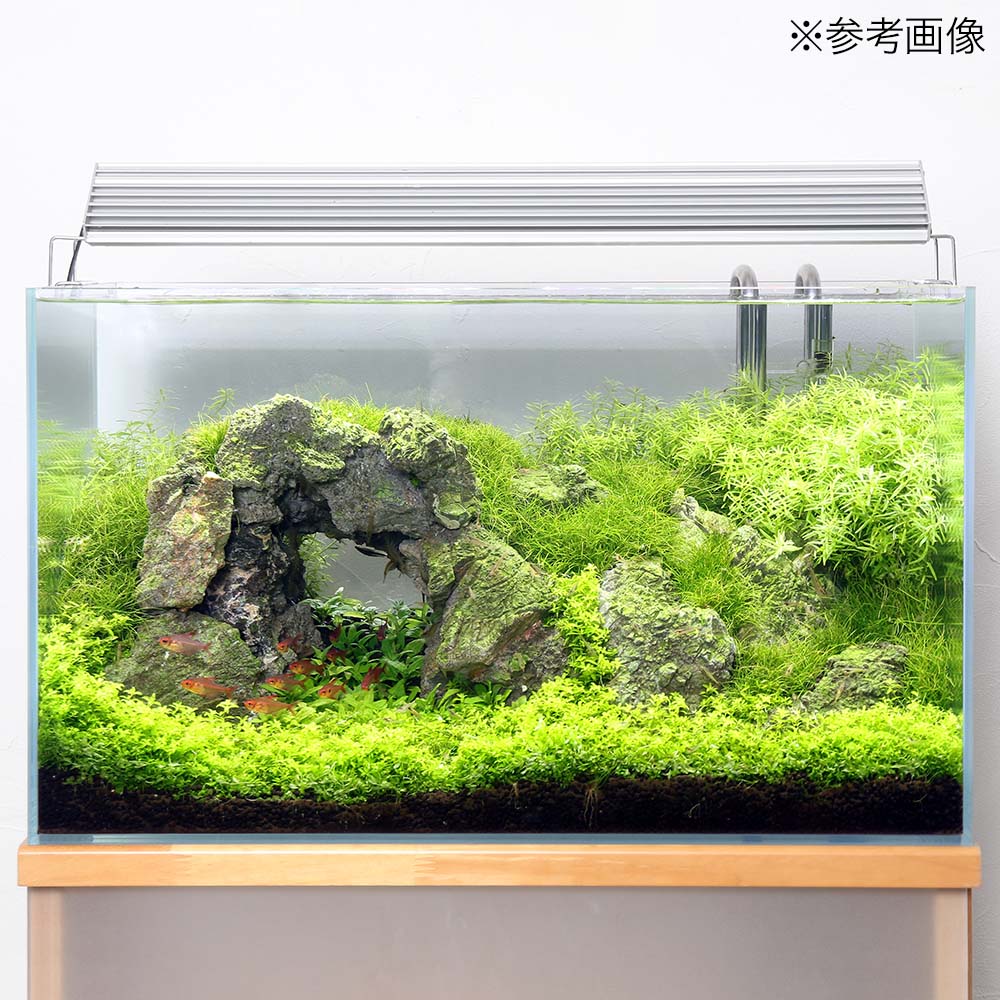 贈物 形状お任せ 裂渓石 サイズミックス ３ｋｇ アクアリウム テラリウム レイアウト素材 お一人様８点限り 関東当日便 Turbonetce Com Br