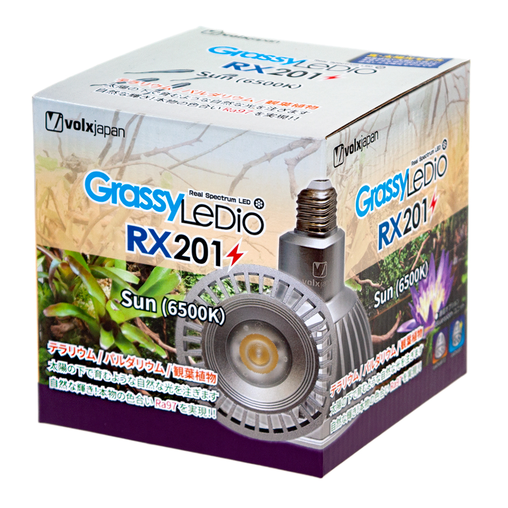 楽天市場 ボルクスジャパン ｇｒａｓｓｙ ｌｅｄｉｏ ｒｘ２０１ ｓｕｎ サン 沖縄別途送料 関東当日便 Charm 楽天市場店