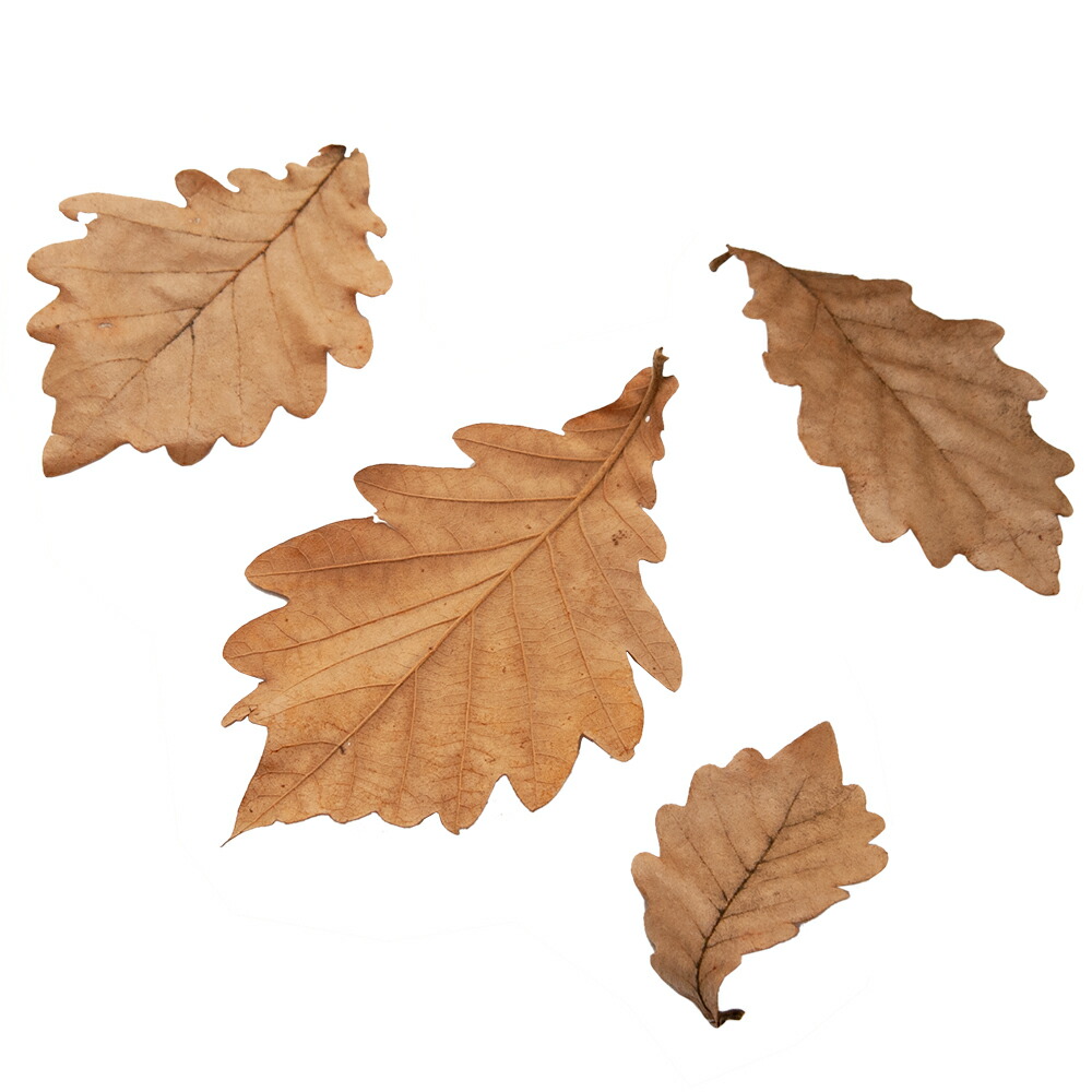 三晃商会 枯葉マット