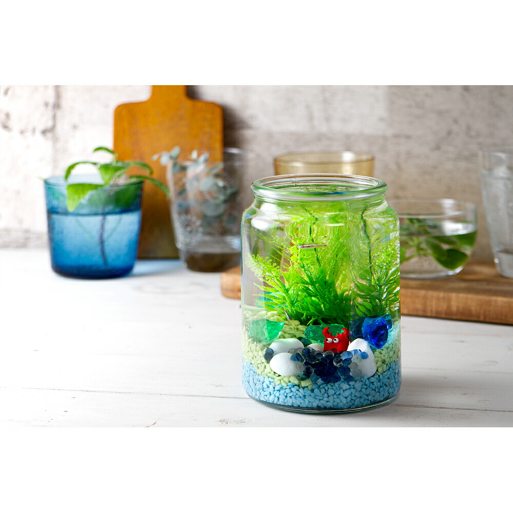 楽天市場 熱帯魚 ｇｅｘボトルアクアリウムシュガー人工水草のセット 餌 水付 説明書付き 本州四国限定 Charm 楽天市場店