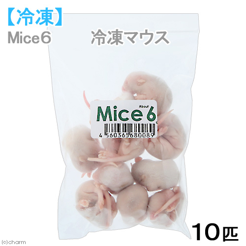 楽天市場】冷凍☆富城 ピンクマウスL（10匹）（約4cm