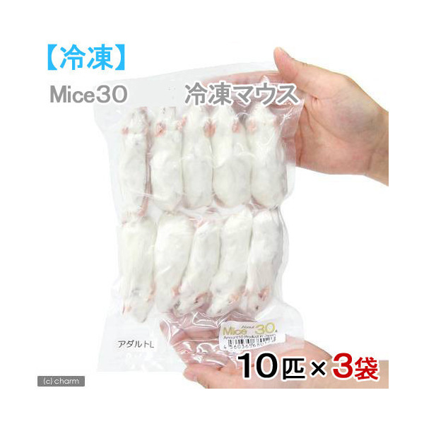 【楽天市場】冷凍 アダルトＬ カタ養殖 Ｍｉｃｅ３０ 冷凍マウス 