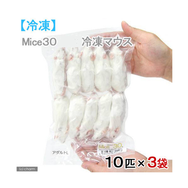 【楽天市場】冷凍 アダルトＬ カタ養殖 Ｍｉｃｅ３０ 冷凍マウス