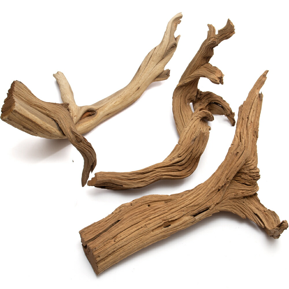 専用 ソウルさんご相談ページ 流木 GEX 天然流木 M: ペット|ホームセンターコーナンの通販サイト