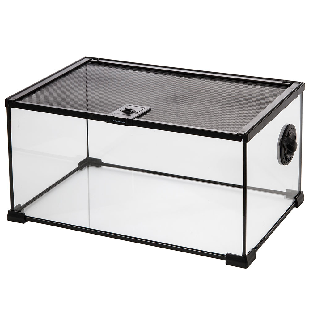 楽天市場 レインフォレストケース ３０ｈ Charm 楽天市場店