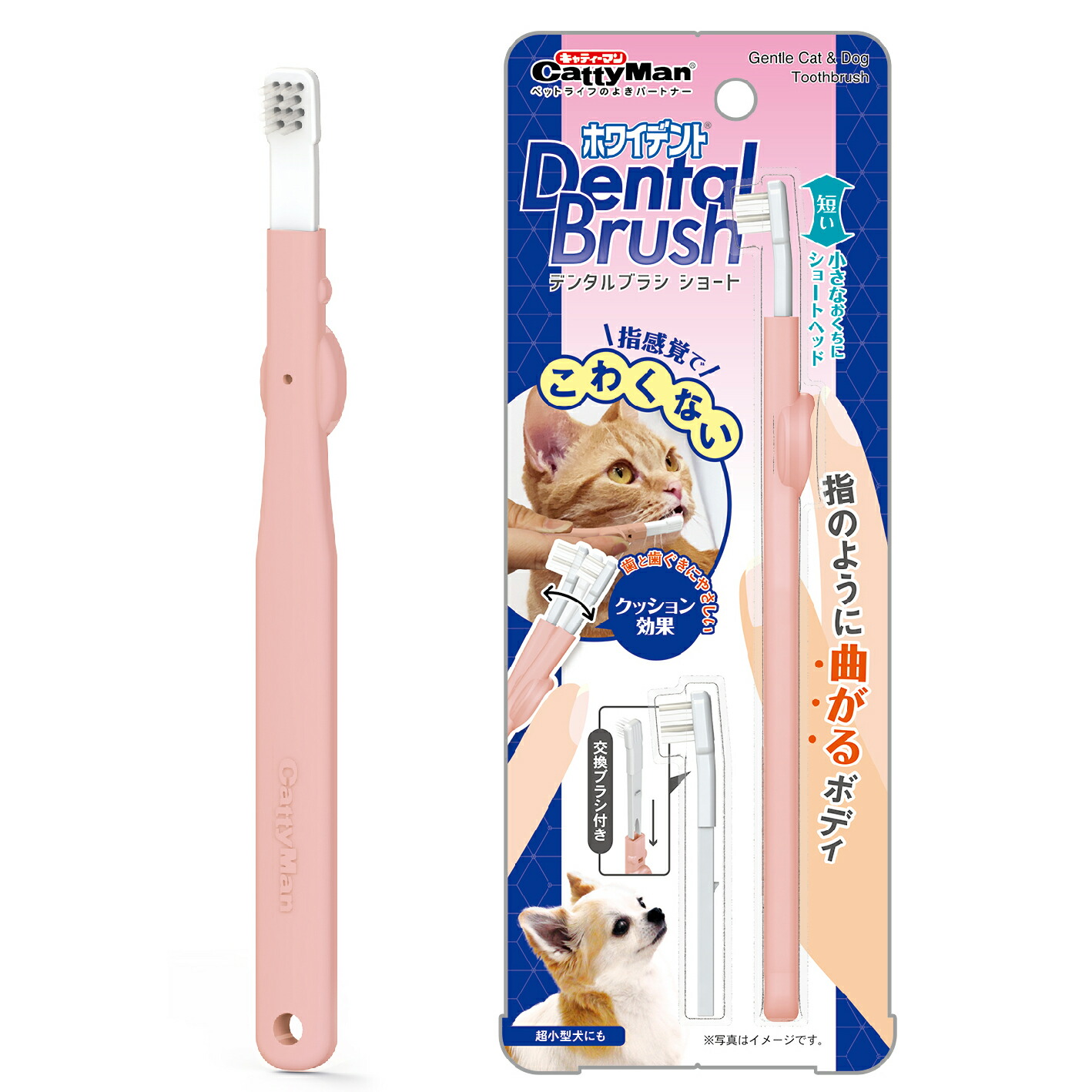 楽天市場】ビバテック シグワン 猫用歯ブラシ 猫 デンタルケア 関東当日便 : charm 楽天市場店 楽天市場】ビバテック シグワン 猫用歯ブラシ 猫 デンタルケア 関東当日便 : charm 楽天市場店