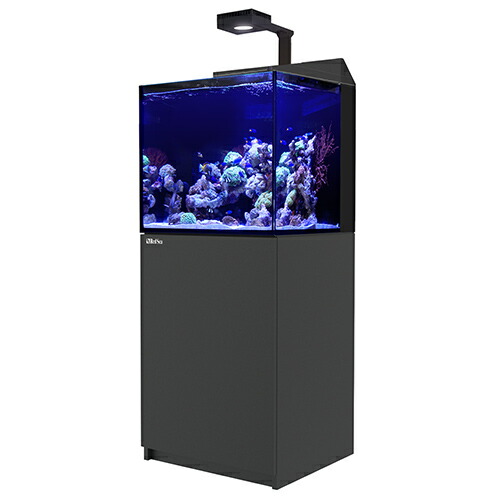 Red Sea REEFER NANO レッドシー オーバーフロー 水槽45cm - 魚