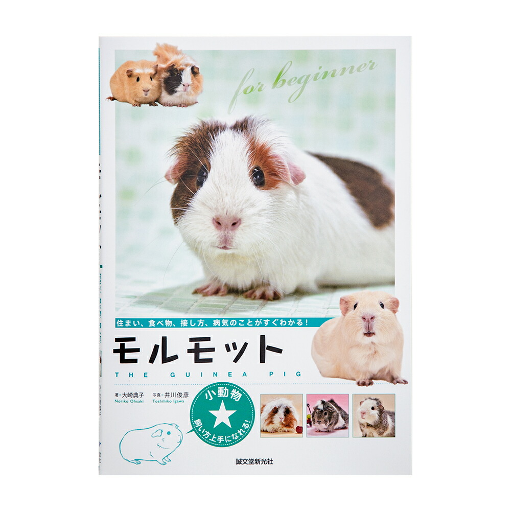 楽天市場】モルモットのはじめて飼育セット スターターセット スタート