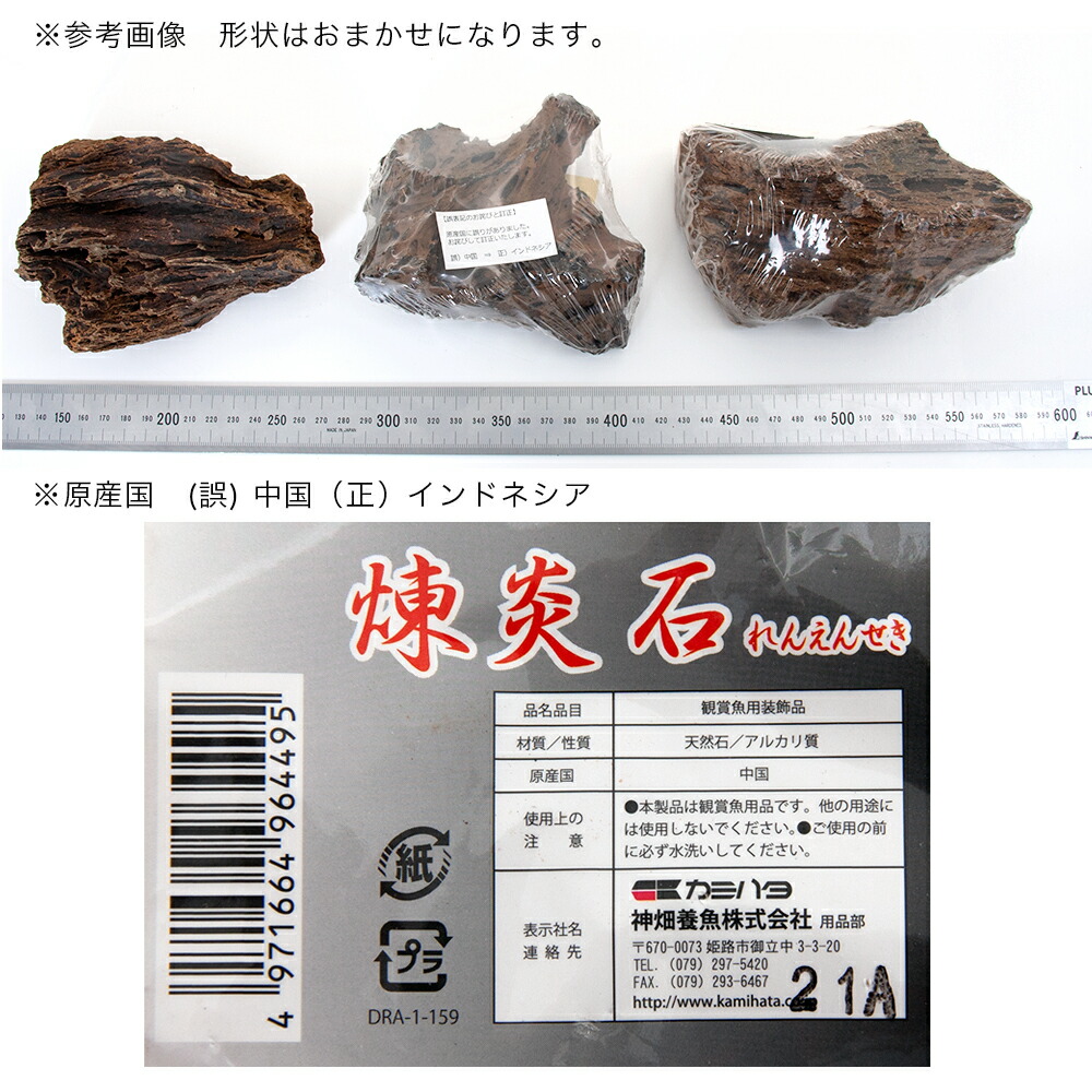 楽天市場 カミハタ アクアリウムロック 煉炎石 約11cm 約400g 関東当日便 Charm 楽天市場店 楽天市場 カミハタ アクアリウムロック 煉炎石 約11cm 約400g 関東当日便 Charm 楽天市場店