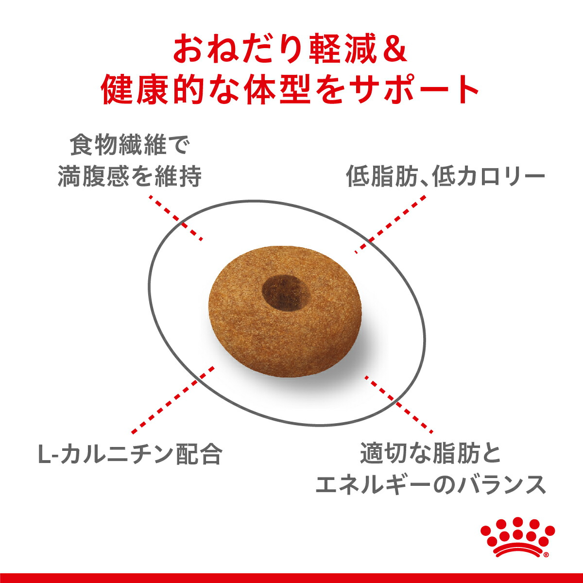 ロイヤルカナンおねだりの多い成猫用(2kg×2袋) kengamagjike.com