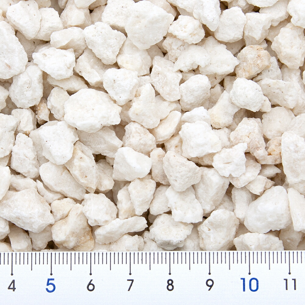 楽天市場 国内洗浄済み ｃ ｐ ｆａｒｍ 化石サンゴ砂 ｆｏｓｓｉｌ ｃｏｒａｌ ｌ ３ｋｇ 海水水槽用底砂 お一人様８点限り 関東当日便 Charm 楽天市場店