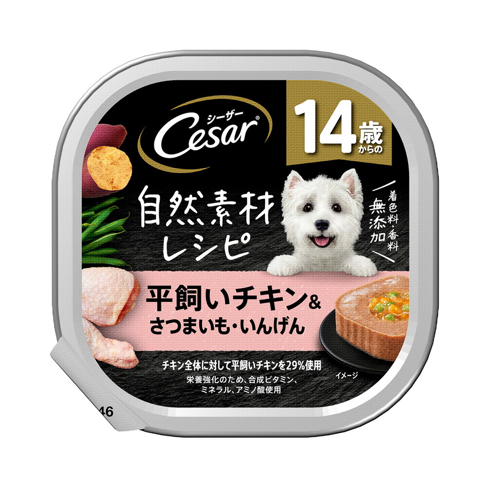 シーザー  絹ささみ 71個 シーザー 絹ささみ 100g（4902397835691）｜犬フード