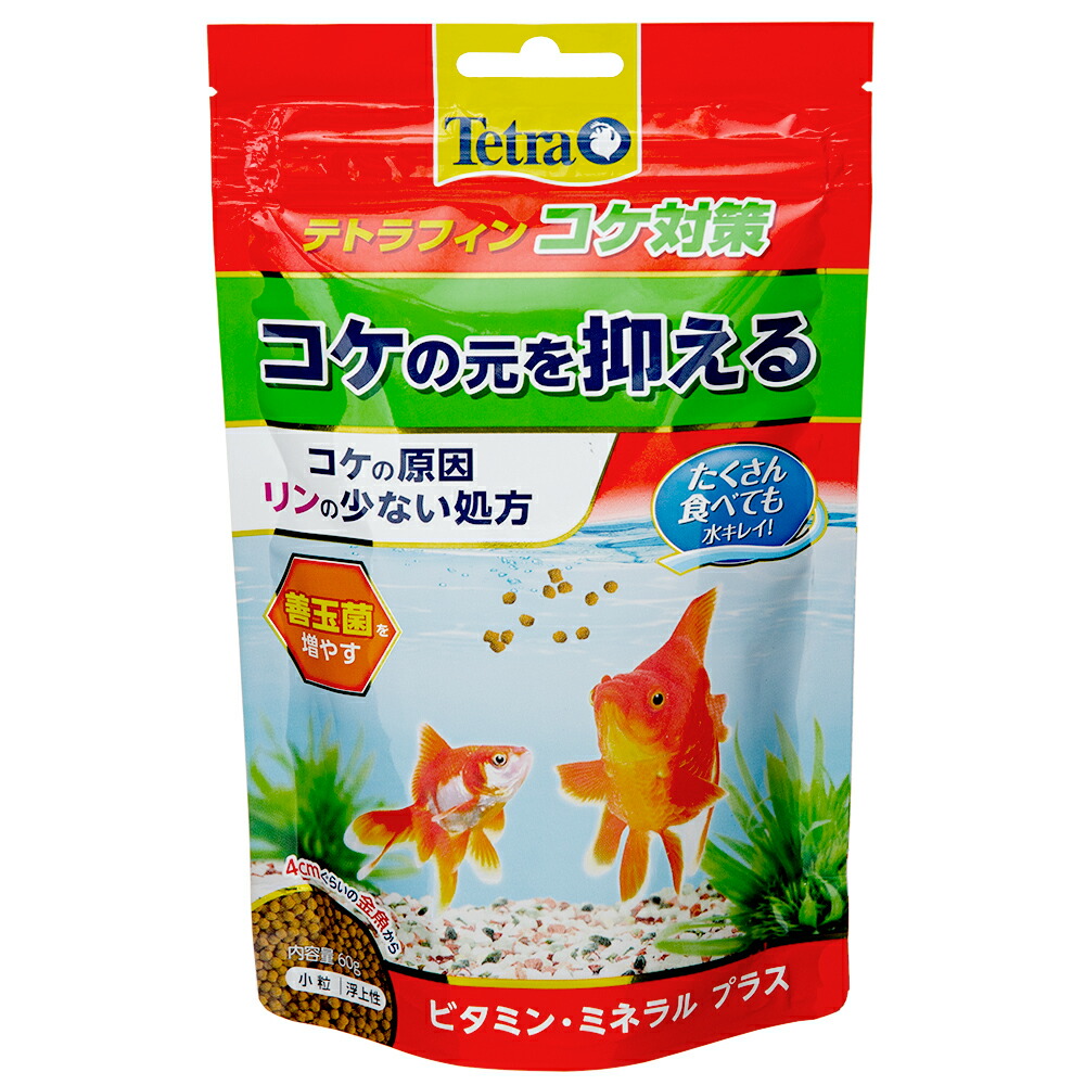 楽天市場 テトラ テトラフィン コケ対策 ６０ｇ 関東当日便 Charm 楽天市場店