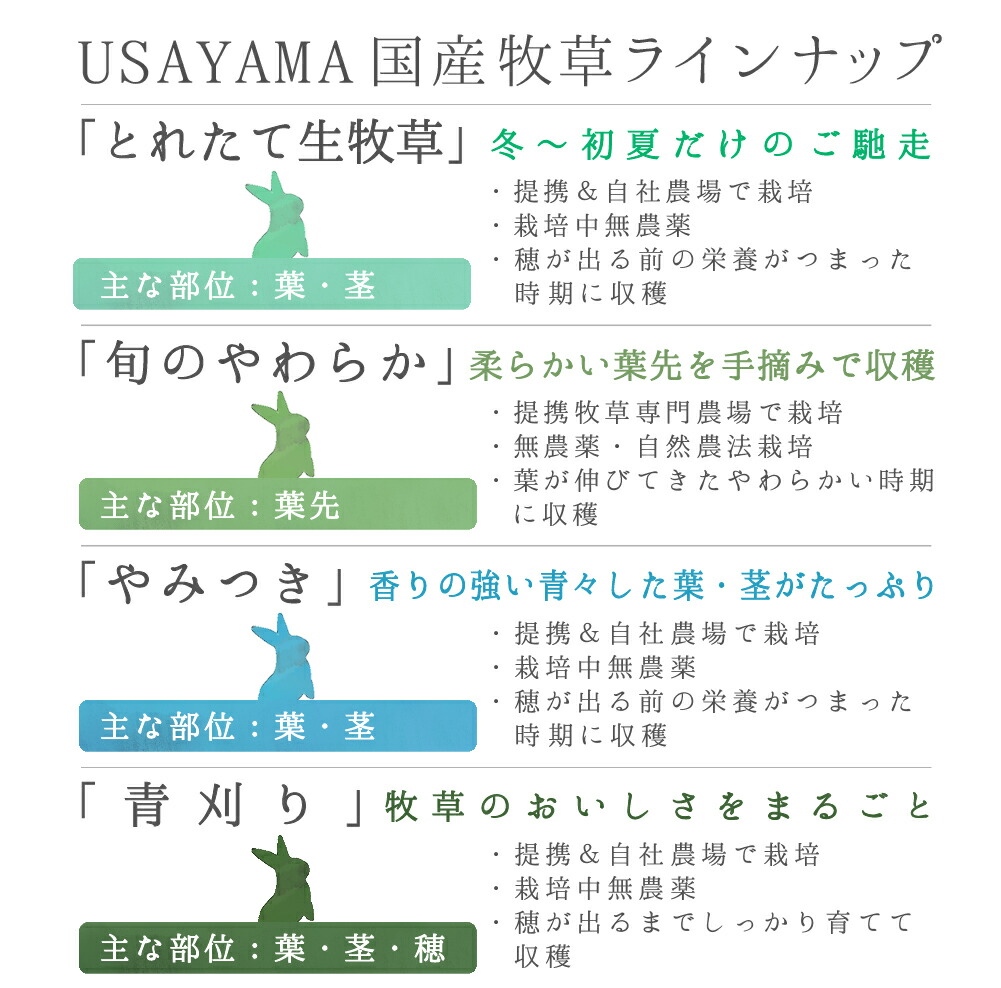 配送員設置送料無料 令和４年新刈 国産 旬のやわらかイタリアンライグラス セミハード ２００ｇ×３袋 牧草 無農薬 うさぎ 小動物 沖縄別途送料  関東当日便 tuulikuautoaed.ee