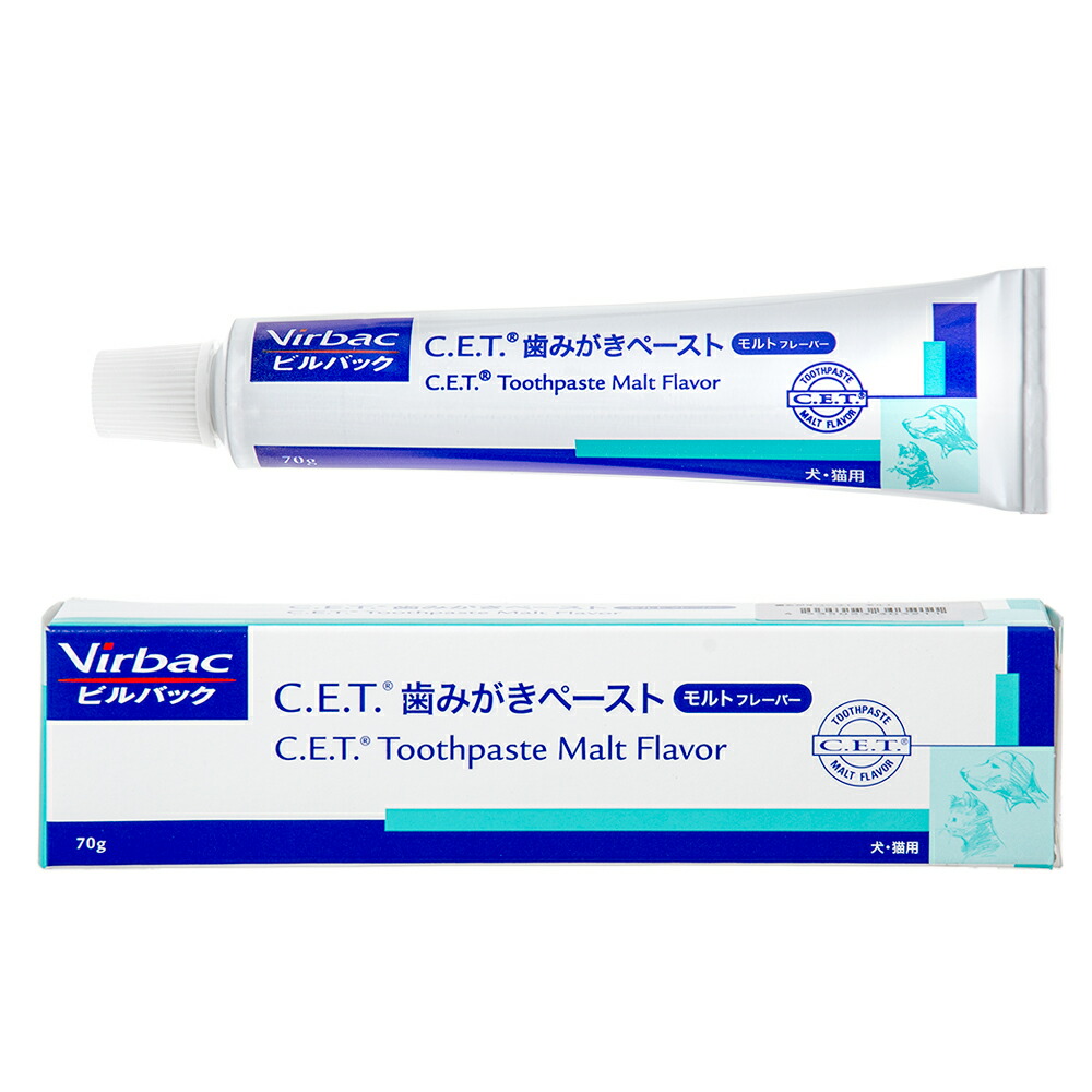 Ｃ．Ｅ．Ｔ．歯みがきペースト（モルトフレーバー）　７０ｇ　関東当日便