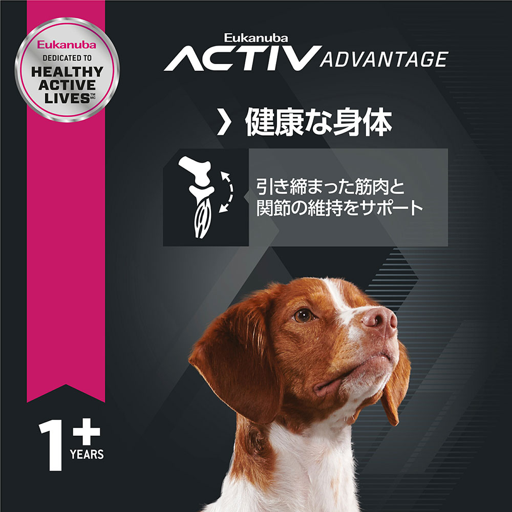 消費期限 ドッグフード 22 09 30 ユーカヌバ ミディアム アダルト ７ ５ｋｇ ２袋 成犬用 中型犬種用 １歳以上 ｅｕｋａｎｕｂａ ジップ付 お一人様１点限り 沖縄別途送料 関東当日便 Charm 店