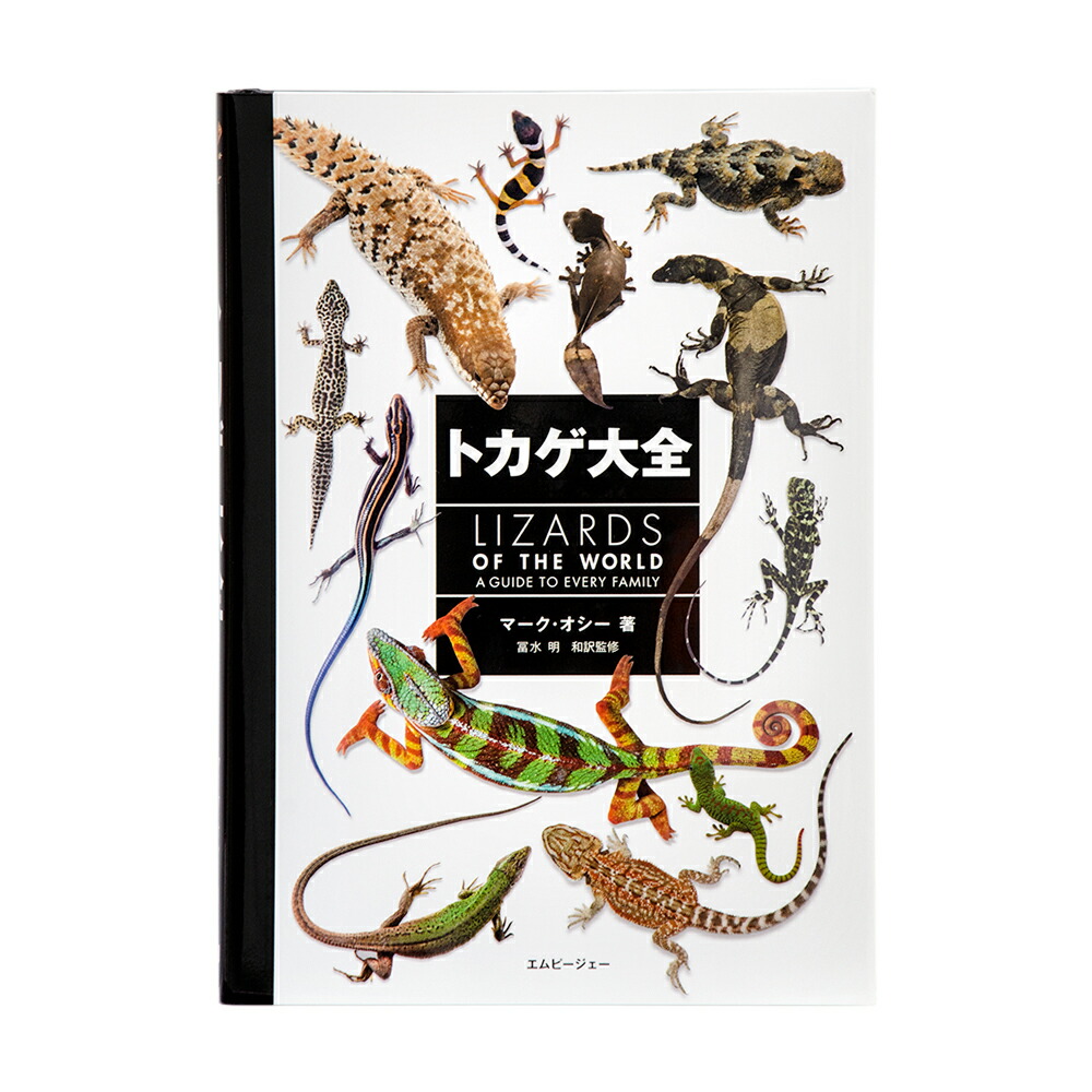 楽天市場】爬虫類・両生類情報誌 隔月刊 クリーパー NO