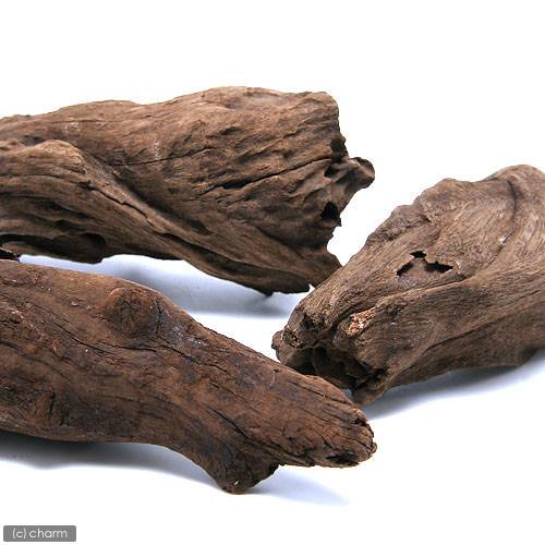 楽天市場】形状お任せ 煮込み済み ハニカムウッド Lサイズ（25