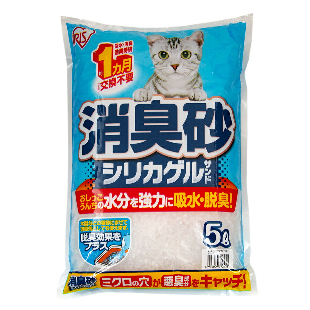 31 猫の砂 9.15 31 猫の砂 9.15