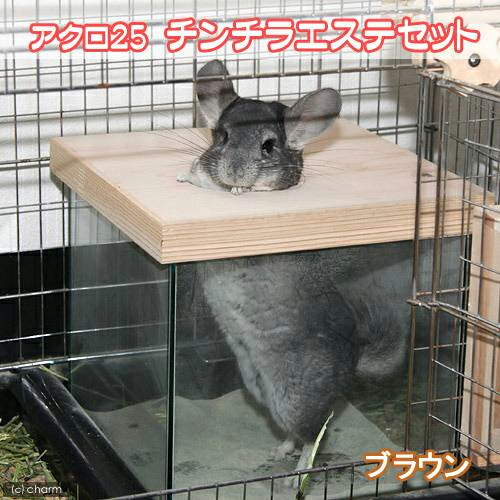 楽天市場】『 チンチラ飼育セットA 〜基本コース〜 』 SBS