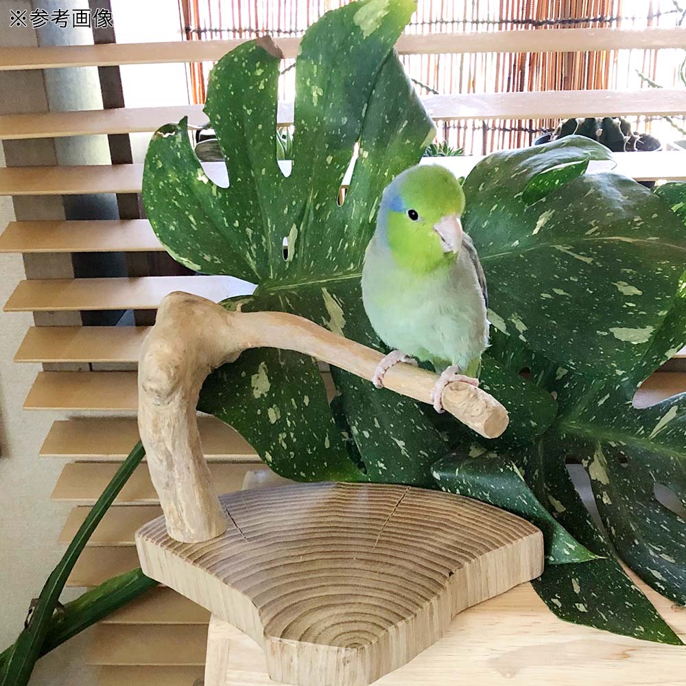 至高 デイリーアップフード ヘルスサポート セキセイインコ ７００ｇ 総合栄養食 鳥 インコ 餌 フード
