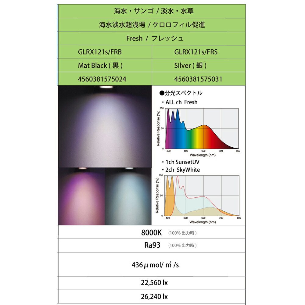 通販を提供 ボルクスジャパン ＧｒａｓｓｙＬｅＤｉｏＲＸ１２１ｓ