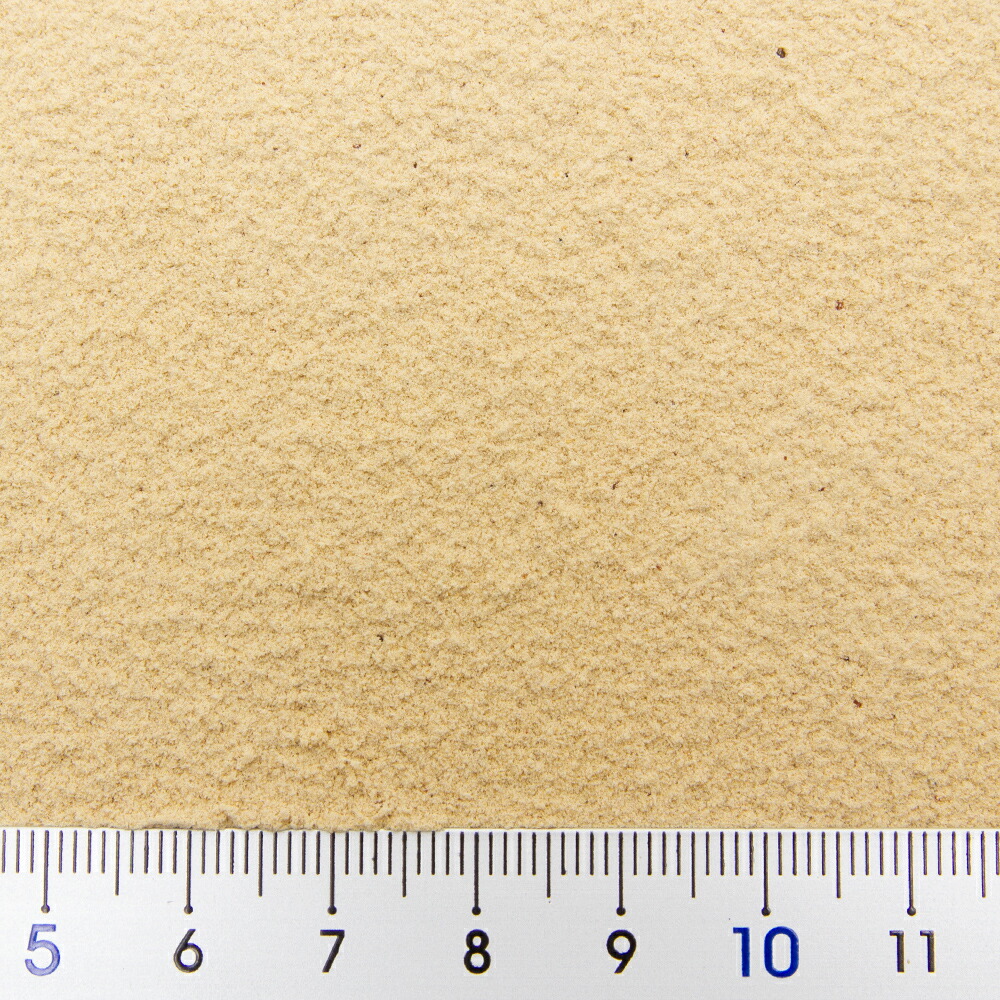 コメット メダカ針子 針子の餌 関東当日便 １０ｇ 正規販売店 １０ｇ