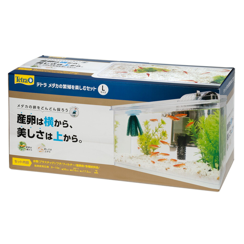 楽天市場】ＧＥＸ メダカ元気 メダカのための水槽セット ４００ お一人様２点限り メダカ 室内 飼育セット 水槽 初心者 関東当日便 : charm  楽天市場店