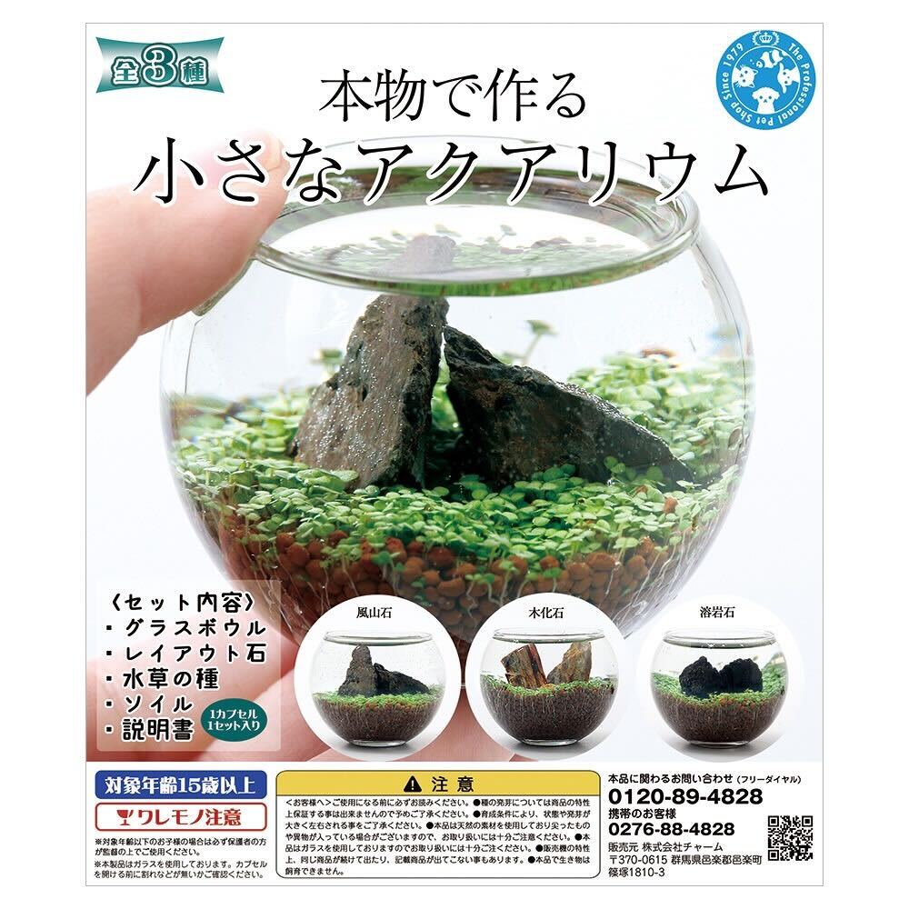 楽天市場】GEX 水槽セット グラスアクア PERCO B