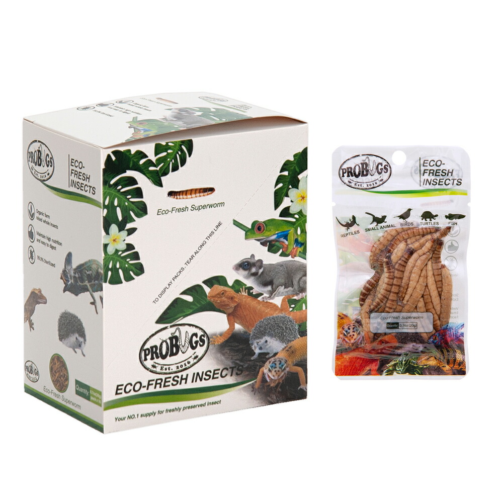 naku☺︎ありがとうございます＊1Kgずつ真空パックへ変更＋600円 楽天市場】【送料無料】プロバグズ 真空パック生昆虫 ミルワーム 1箱