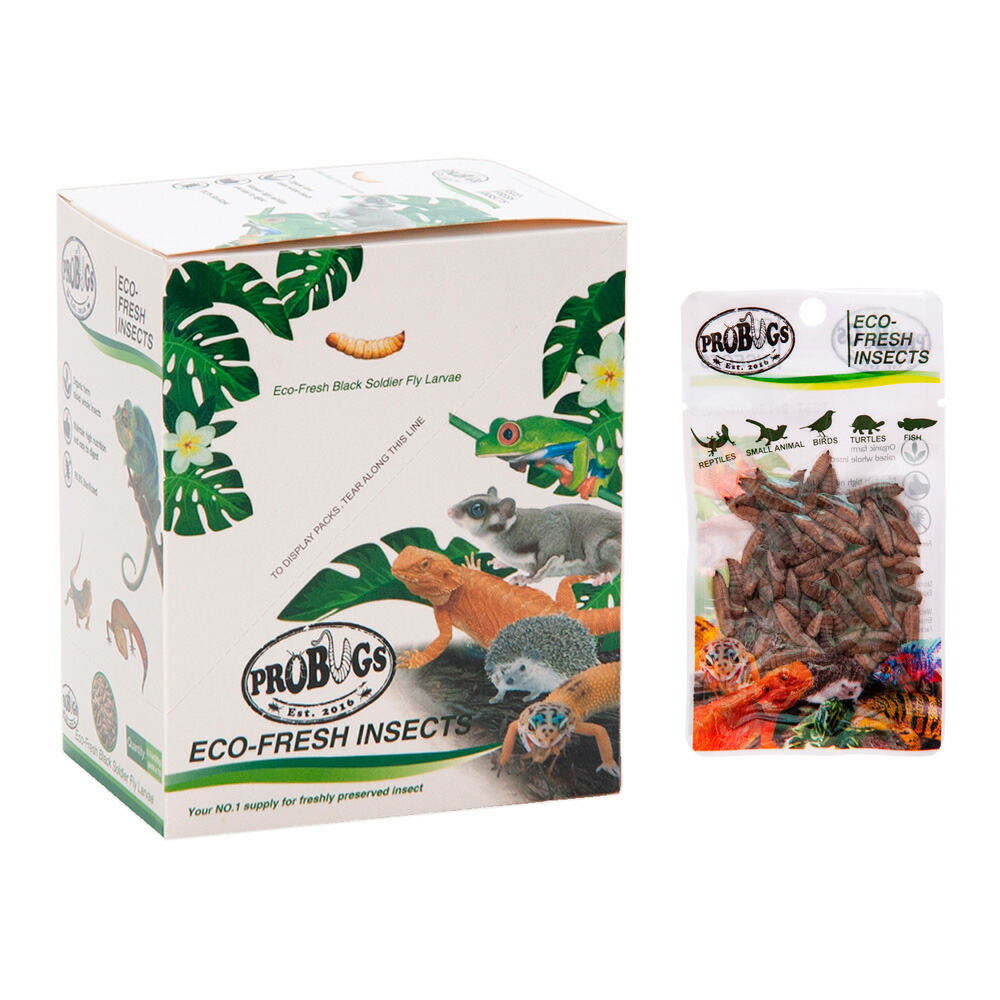 楽天市場】【送料無料】プロバグズ 真空パック生昆虫 スーパーワーム