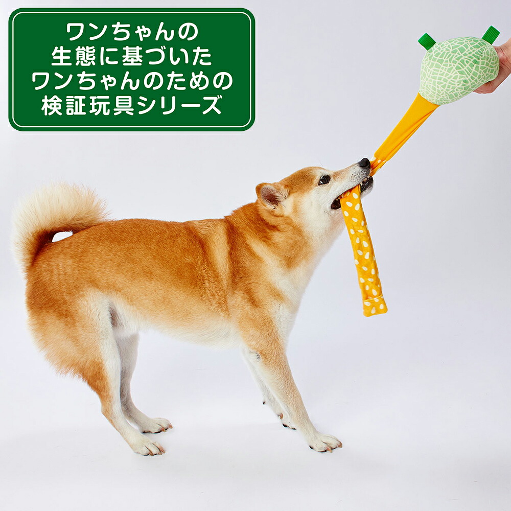 ペティオ 犬用おもちゃ びよ ん フルーツ メロン 関東当日便 再販ご予約限定送料無料 びよ ん