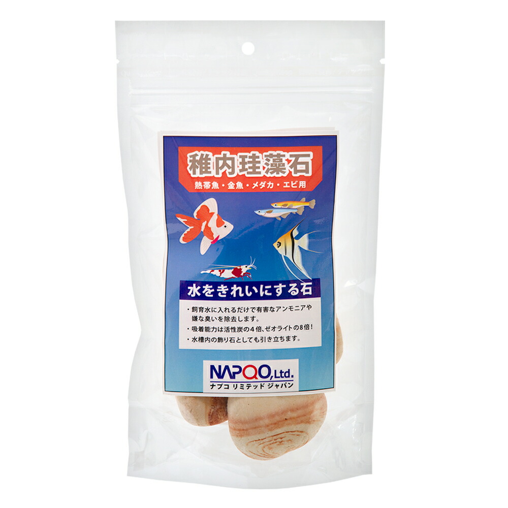 楽天市場】モンモリロナイト（固形）１００ｇ 関東当日便 : charm 楽天市場店