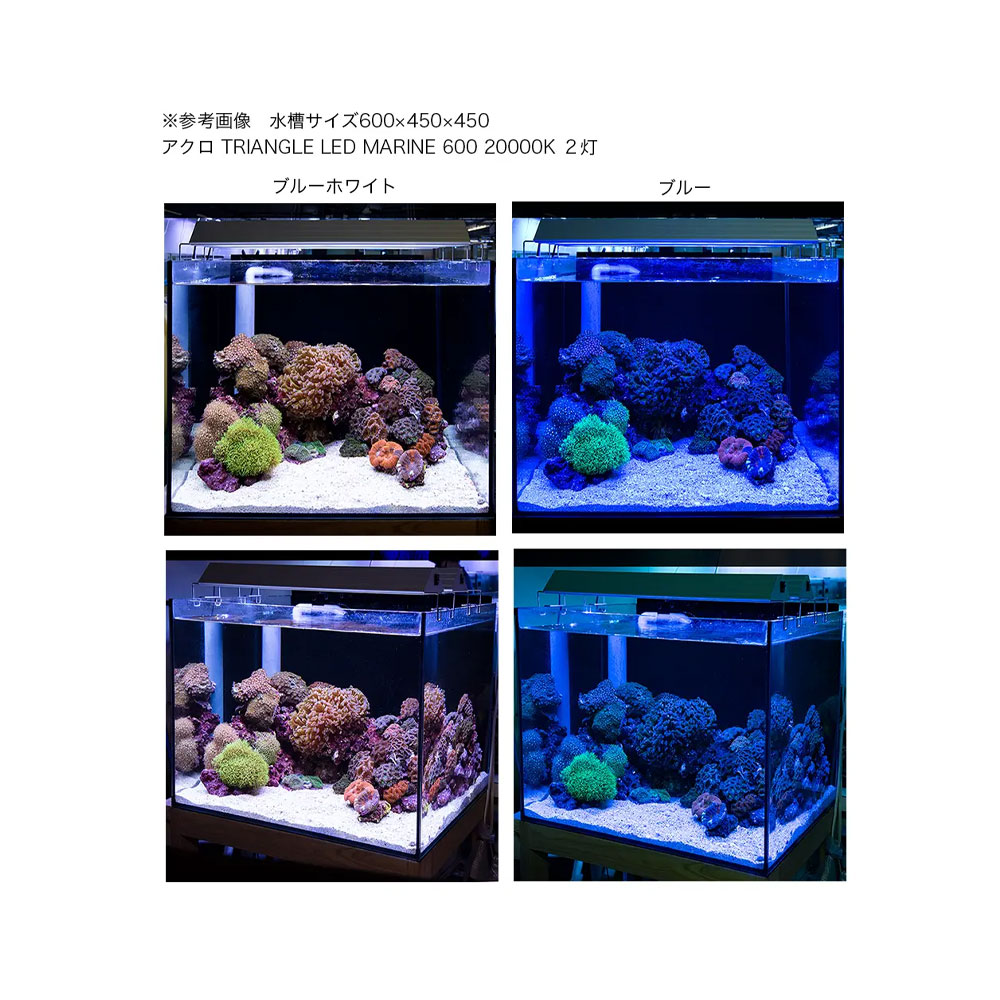 沸騰ブラドン アクロ ＴＲＩＡＮＧＬＥ ＬＥＤ ＭＡＲＩＮＥ ４５０ スタンドセット ２００００Ｋ 海水魚 サンゴ 照明 沖縄別途送料 関東当日便  fucoa.cl