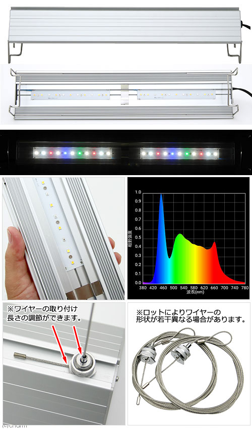 テトラ 力ろ波器仕かける アクロ 沖縄別途送料 関東当日簡 Vned Org