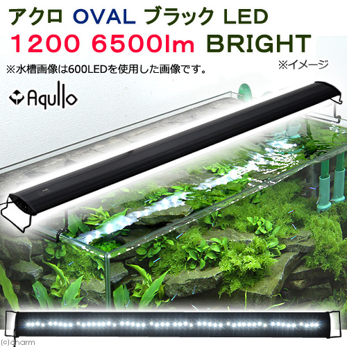 アクロ ｏｖａｌブラック ｌｅｄ １２００ ６５００ｌｍ ｂｒｉｇｈｔ 水槽 アクアリウム ａｑｕｌｌｏ １２０ｃｍ水槽用 熱帯魚 アクアリウム 沖縄別途送料 関東当日便 Charm 店