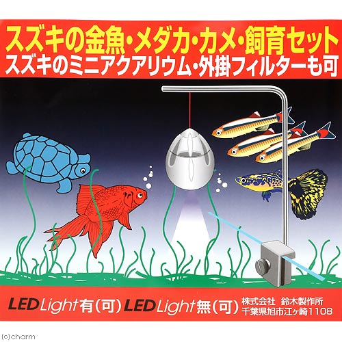 楽天市場 スズキの金魚 メダカ カメ 飼育セット 幅１７ 奥行き１７ 高さ１８ｃｍ 関東当日便 Charm 楽天市場店