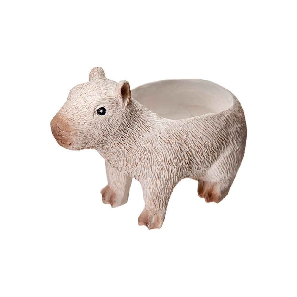 ペンギン 71KYwsF98cL.jpg_BO30,255,255,