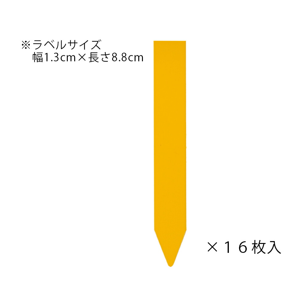 市場 ゴールドラベル １６枚入り ９ｃｍ