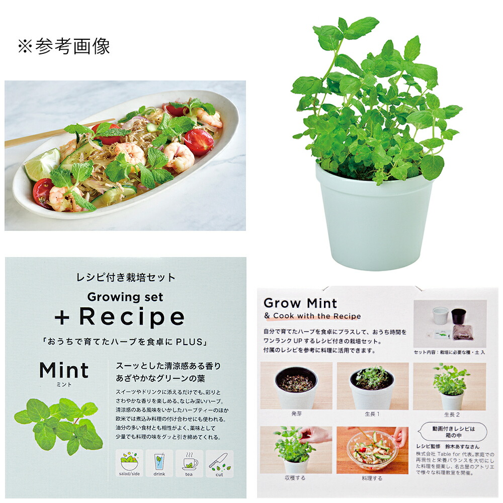 聖新陶芸 レシピ付き栽培セット ｒｅｃｉｐｅ