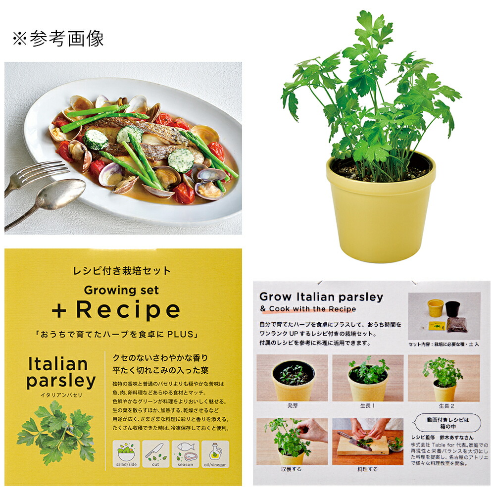 市場 聖新陶芸 レシピ付き栽培セット ｒｅｃｉｐｅ