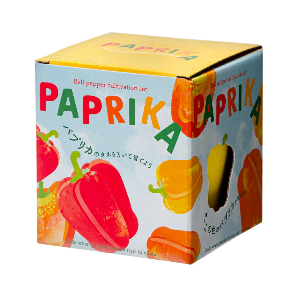 聖新陶器 テーブルサイズのミニパプリカ栽培セット