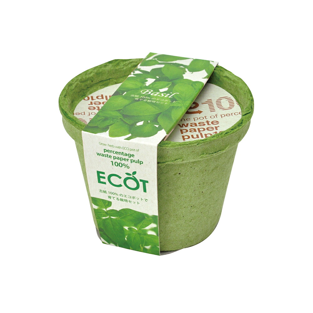 お得な情報満載 聖新陶芸 フレッシュ ハーブ バジル 家庭菜園 キッチン菜園 室内園芸326円 Academydosaber Com