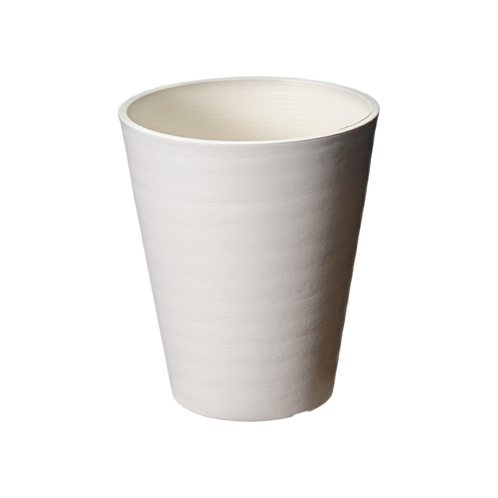 楽天市場】（観葉植物）フィカス エラスティカ ティネッケ 4号