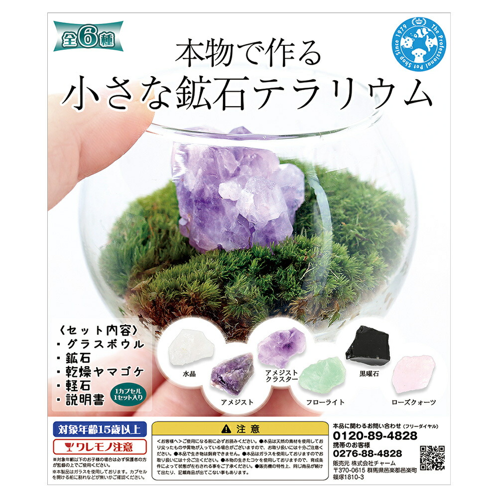 楽天市場】聖新陶芸 育てるカプセル GREEN CAPSULE