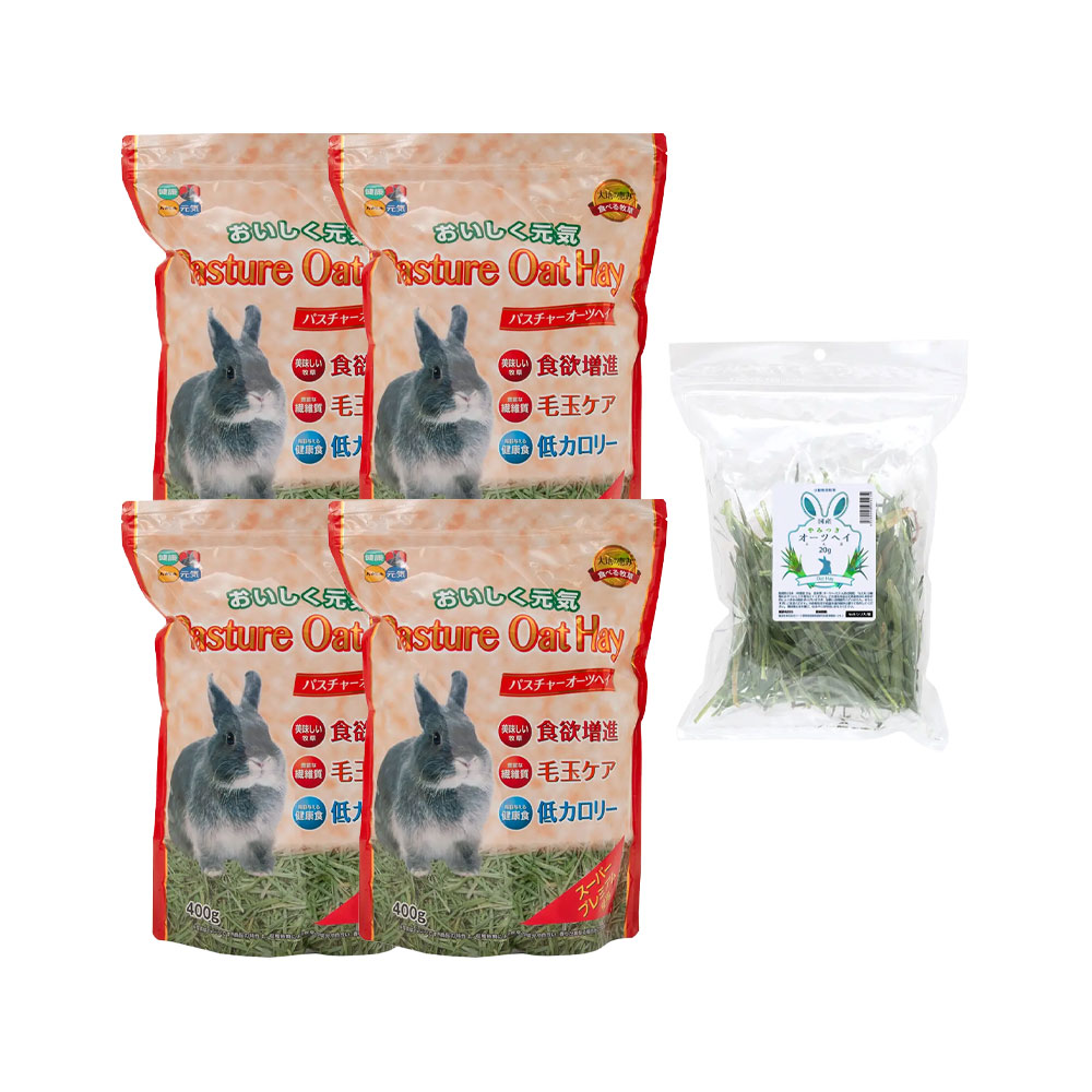 生牧草オーツヘイ400g - 小動物用品