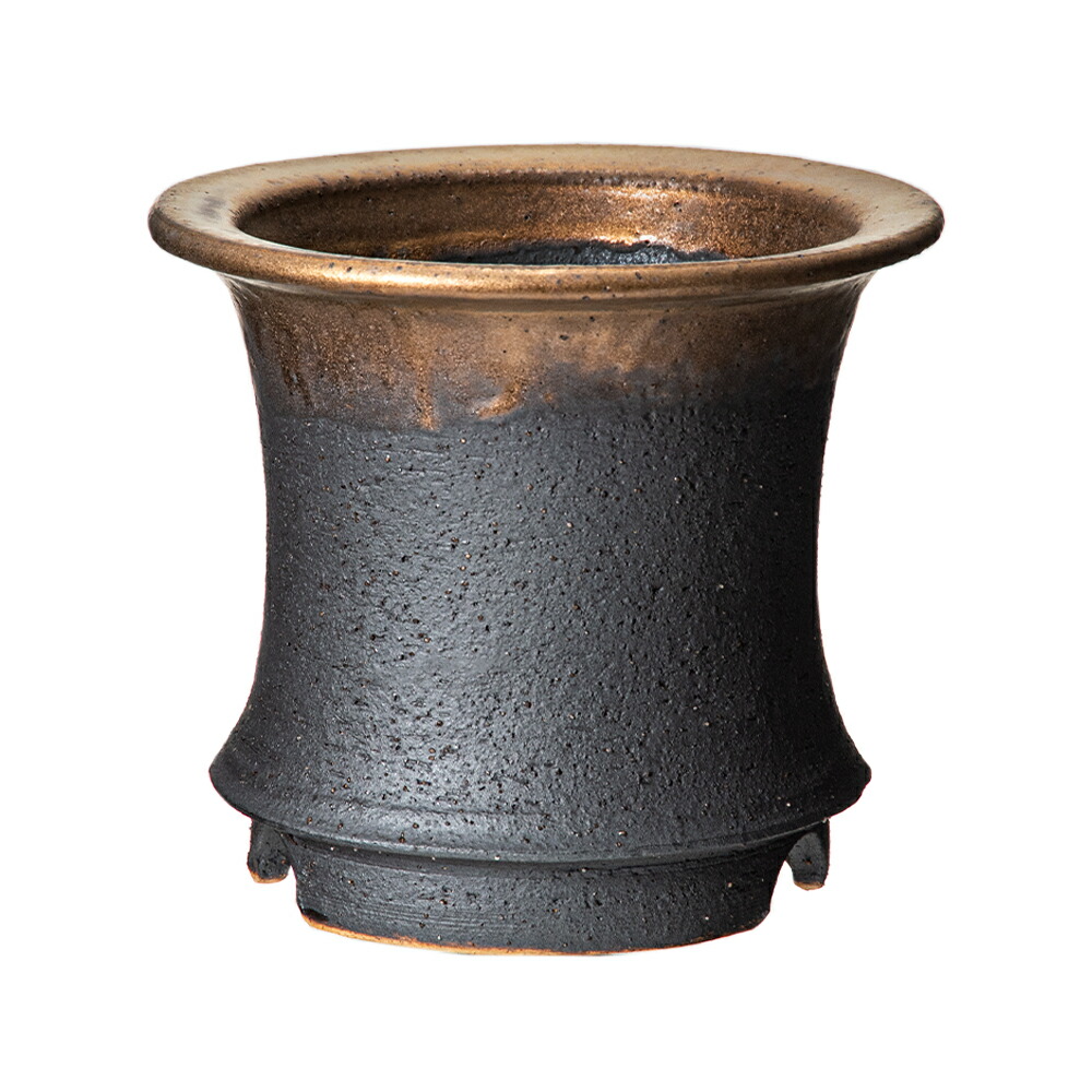 ベア 鉢曇摩華購入、野外標本3種セット 鉢曇摩華様専用