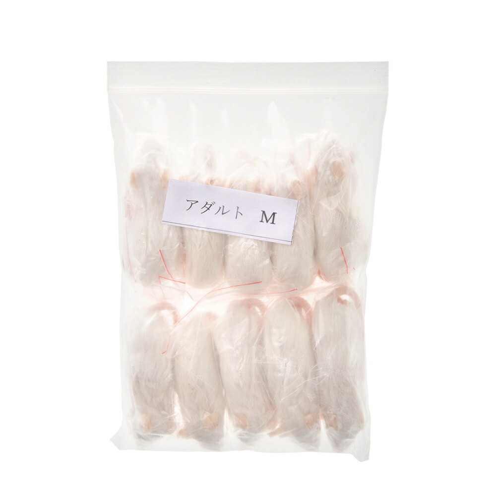 楽天市場】冷凍☆富城 ピンクマウスL（10匹）（約4cm