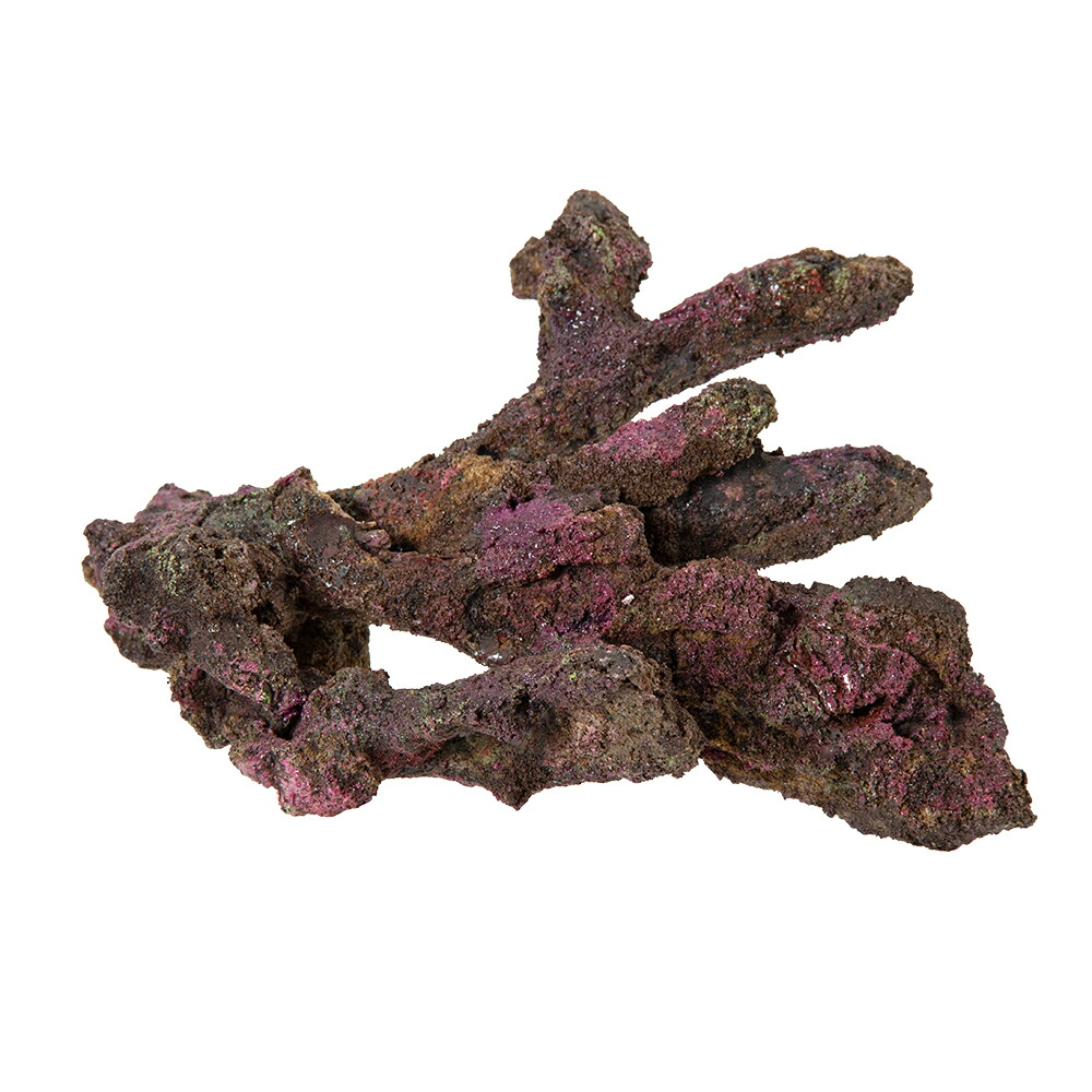 ライブロックモジュール　アクアリウム　擬岩 ライブロックモジュール A アクアリウム 擬岩 | チャーム