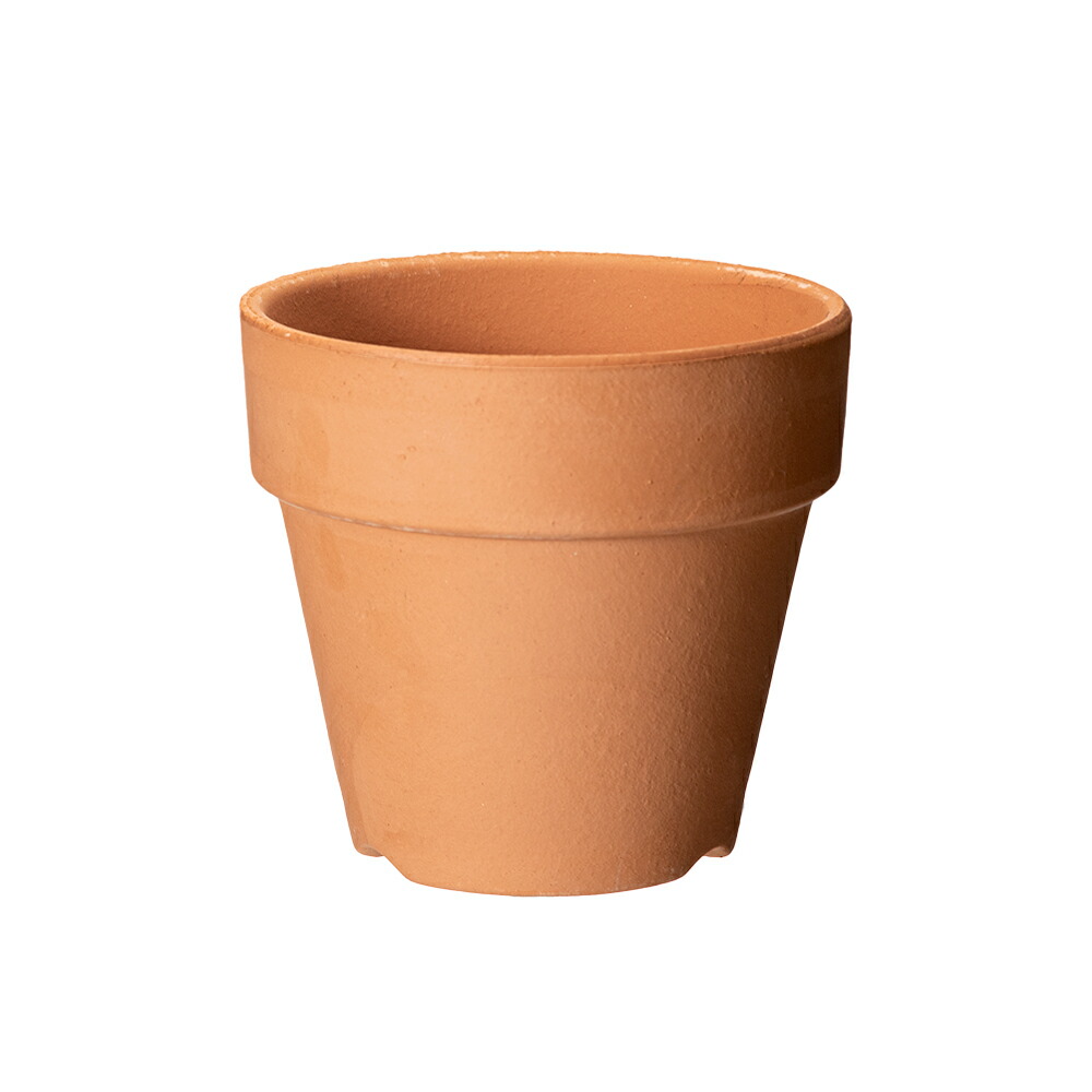 素焼き鉢 楽天市場】胴抜き素焼き鉢 5.0号 6枚 植木鉢 鉢 蘭 らん ラン